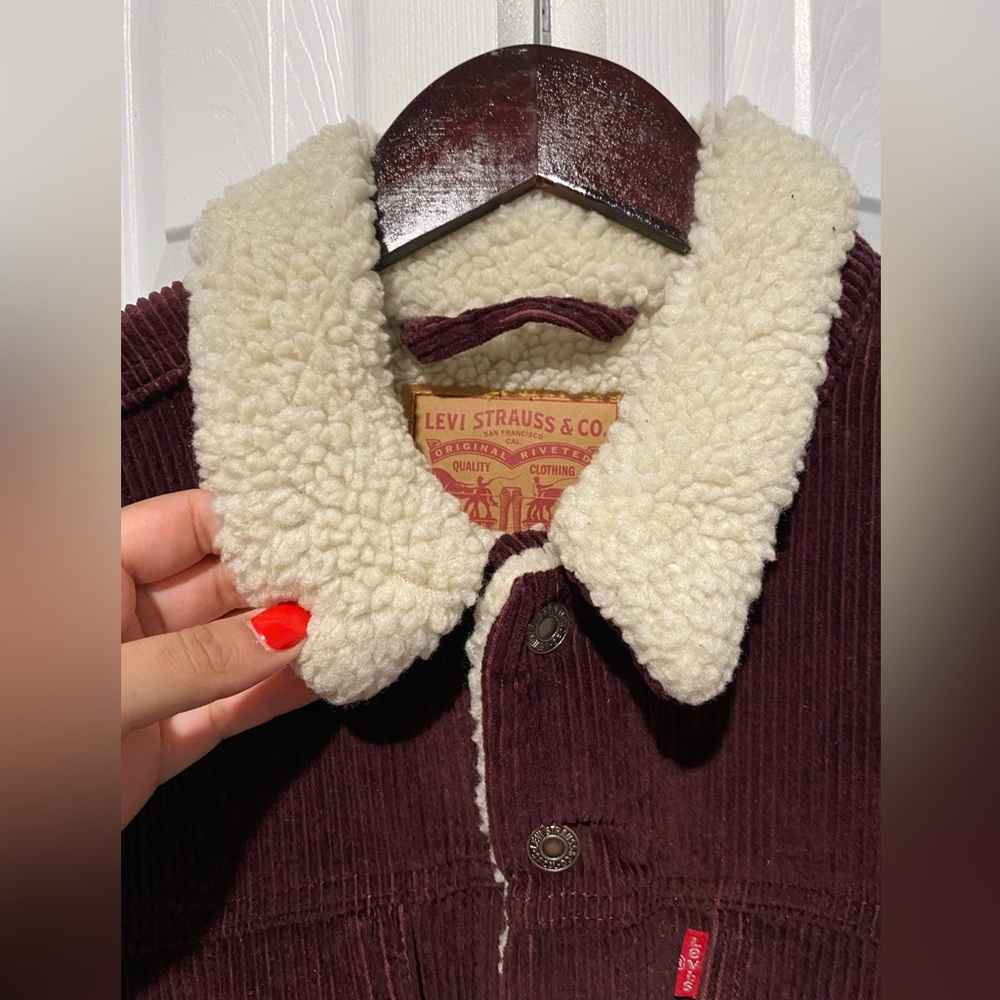 Levi’s Sherpa Trucker Jacket w/Corduroy